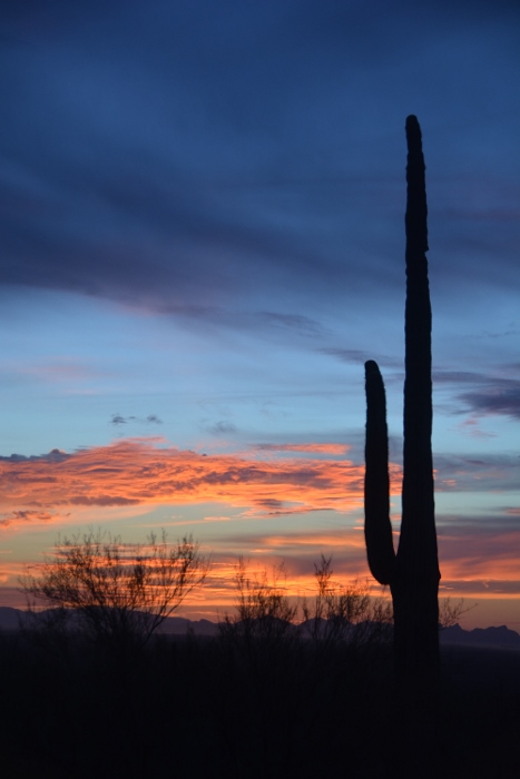 sunset from the Sunset Trail